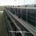 Innovation farm high quality chicken cage automation chicken equipment